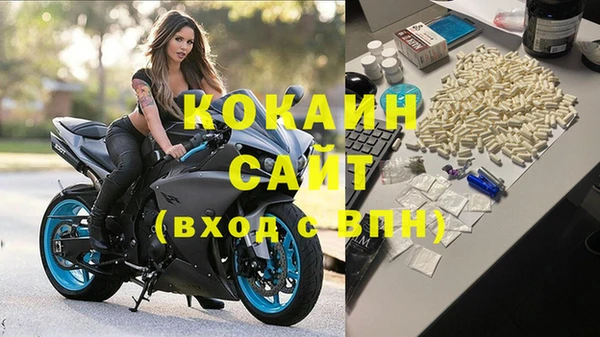 PSILOCYBIN Заволжск