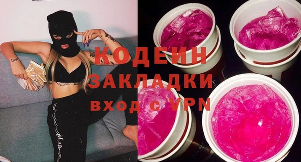 прущие грибы Ельня