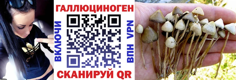 Псилоцибиновые грибы MAGIC MUSHROOMS  Игарка 